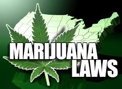 polygraph test for compliance with marijuana laws